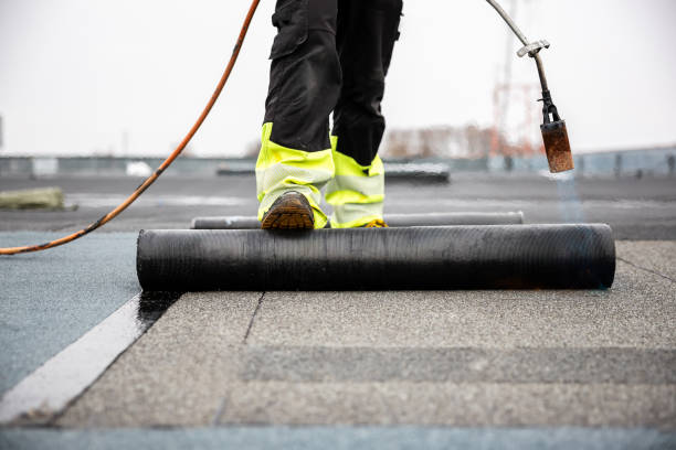 Best Asphalt Shingles Roofing  in Fair Grove, MO